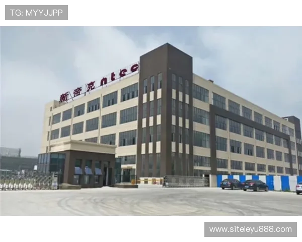 乐投控股有限公司：引领行业发展的创新型企业战略分析