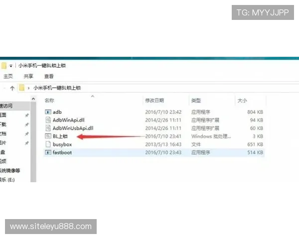 乐鱼入口登录官网网址登录过程中的常见问题及解决方法