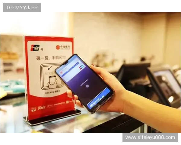 乐鱼体育网页版官网支持多种支付方式，保障您的资金安全