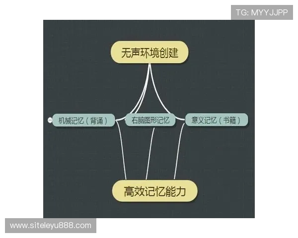 乐鱼官网首页最全功能介绍及操作流程详解