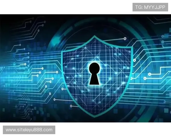 乐鱼旗舰厅注册平台安全保障措施，保障用户资金与信息安全