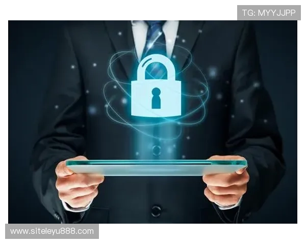 乐鱼最新版安全保障措施保障用户个人信息安全和平台稳定运营