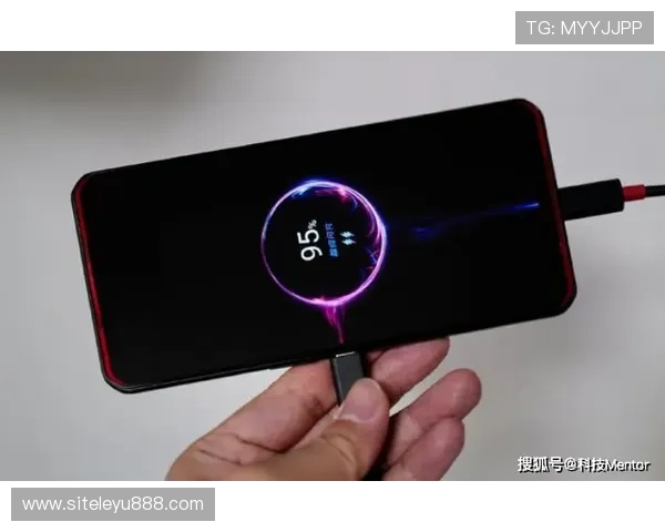 乐鱼电竞app官网登录入口手机版：便捷快速登录入口，开启您的精彩电竞之旅