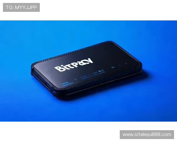 乐鱼官网app安全平台为用户提供的安全保障服务与客户支持体系