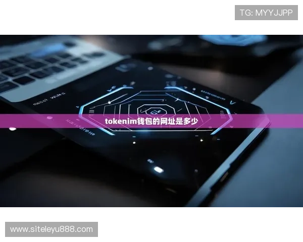 乐鱼官网网页版登录app下载安装步骤及使用技巧全攻略