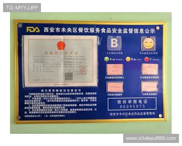 乐鱼开户下载官网app安全保障措施，保障玩家账号信息安全