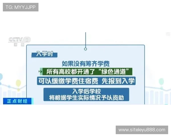 乐鱼平台资助大巴黎的合作模式解析及其在国际足球市场中的示范作用