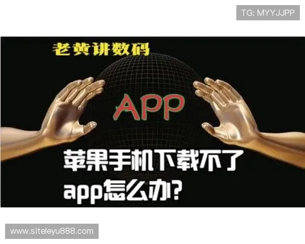 乐鱼登录入口app常见问题及解决方案，帮助用户快速解决登录难题