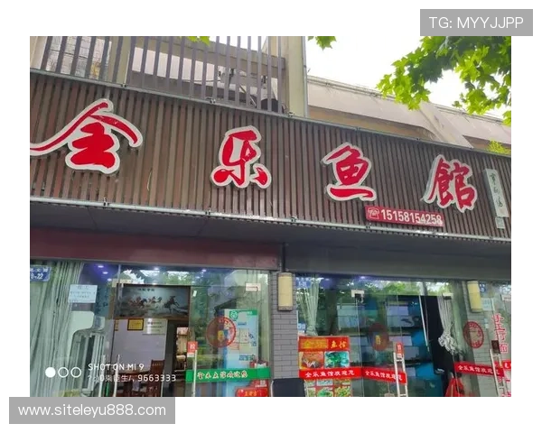 乐鱼网站登录不了的解决方案大全，帮助用户快速排查并恢复正常登录状态