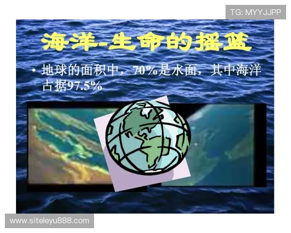 从乐鱼体会学习保护海洋环境的方法与每个人应尽的责任